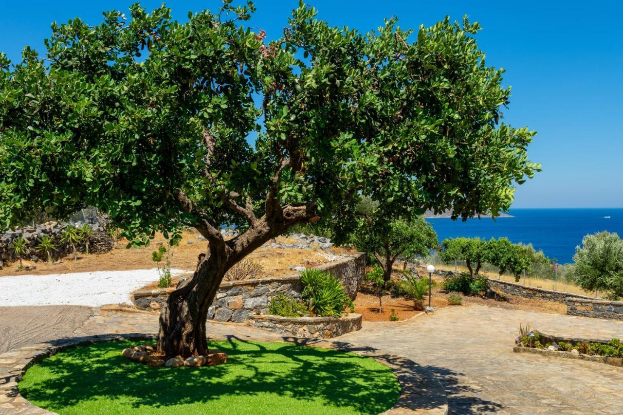 Elounda Anemelia Apartments Exterior foto
